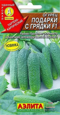 Похищение огурцов с грядки …» — создано в Шедевруме