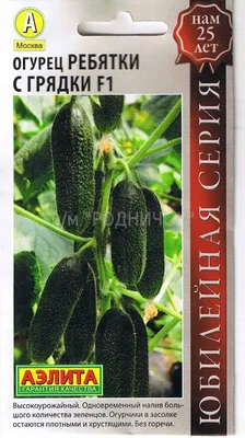 Самые урожайные сорта огурцов: короли грядки. Статьи компании «\"Golden  Seeds\" - якісне насіння»
