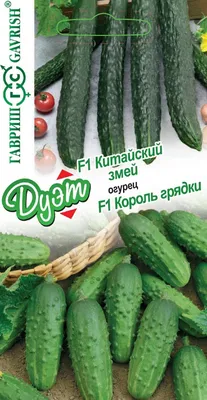 Огурец Король грядки F1 10 шт Gl Seeds (ID#1075087702), цена: 6 ₴, купить  на Prom.ua