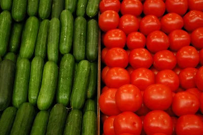 Вредители помидоров и борьба с ними - Agro-Market24