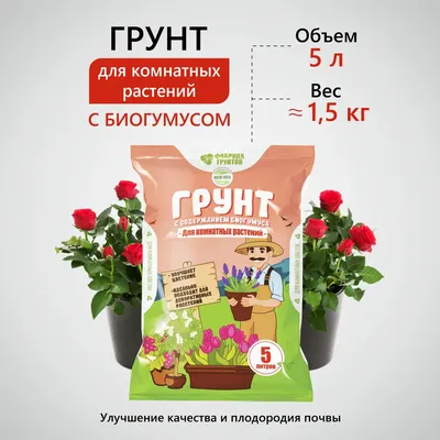https://ryazan.leroymerlin.ru/product/sapropel-udobrenie-dlya-rasteniy-i-cvetov-gryadki-leyki-2-l-91376375/