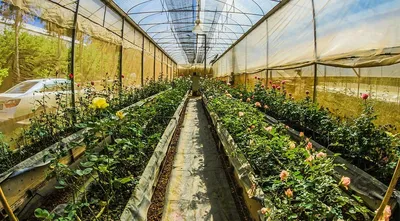 Грядки из пластика Ботаник™ для теплицы купить с доставкой по России
