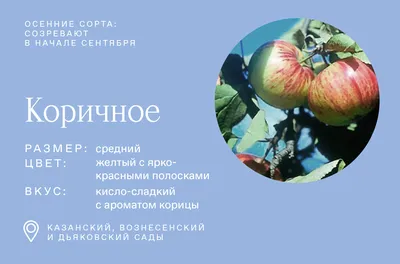 Девушка собирает яблоки в саду» — создано в Шедевруме