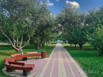 Яблоневый сад 🍎 на краю Кумысной поляны у Тенистого пруда