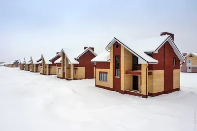Молодой Яблоневый сад (55 фото) - 55 фото