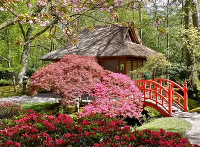 Экскурсия в Японский сад 2023 - частный гид в Ялте Юлия Галузина