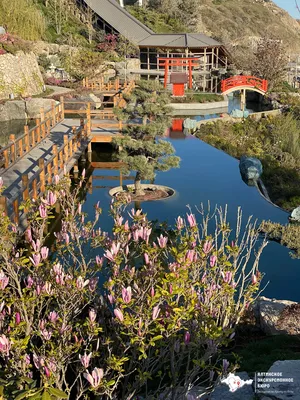 Японский сад шесть чувств Крым (60 фото) - 60 фото