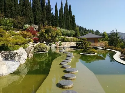 Экскурсия в Японский сад и вечерняя Ялта в Радиогорке – экскурсии, туры |  GuideAdvisor в Радиогорке