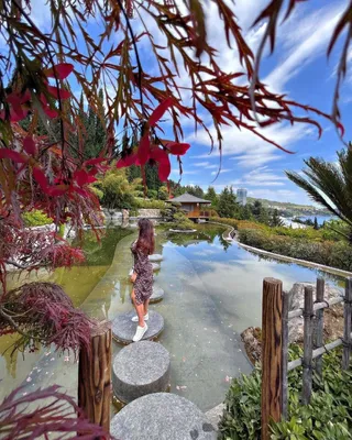 Японский сад Ялта (54 фото) - 54 фото