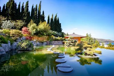 Японский сад ”шесть чувств” #мрия #крым #вселеннаякрым #японскийсад  #шестьчувств | Instagram