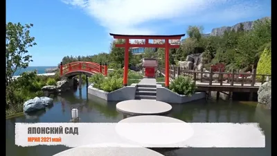 Еще одно красивое место в Крыму которое стоит посетить это Японский сад на  территории отель Мрия 💛 #мриярезорт #крым #ялта #японскисад… | Instagram