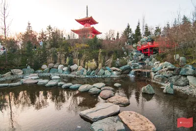 Японский сад в санатории Мрия: стоит ли посетить?