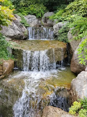 Экскурсия в Японский сад 2023 - частный гид в Ялте Юлия Галузина