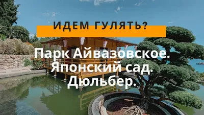 Четыре японских сада в Краснодарском крае и Крыму. Где смотреть красивое,  кроме парка «Краснодар» | Юга.ру