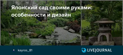 Водоем в саду своими руками (56 фото) - 56 фото