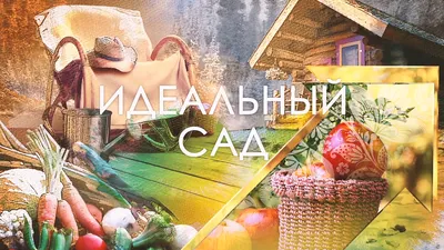 Как обустроить сад: создаем идеальный участок и 30+ лучших идей