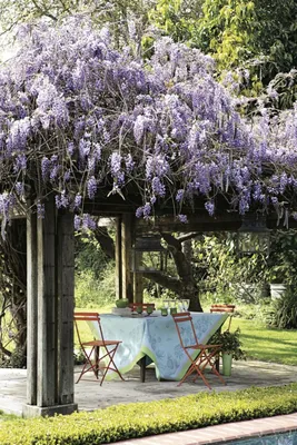 Источник вдохновения: шикарные цветочные идеи для сада и дачи | Shade  garden design, Small front yard landscaping, Porch landscaping