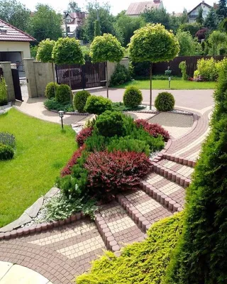 ДАЧА БЛОГ - сад | дача | ландшафт on Instagram: \"Шикарное оформление  участка со склоном😍 Какая деталь дизайна здесь вам больше всего нравится?  . 1 — #БарбарисТ… | Дизайн сада, Идеи озеленения, Озеленение двора