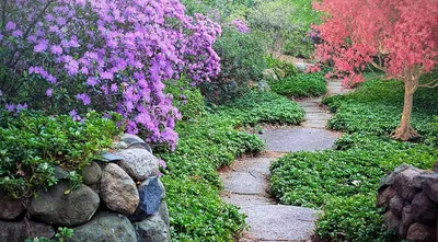 🌺Идеи украшения сада и обустройства зон отдыха / Ideas for the garden and  local area / A - Video - YouTube