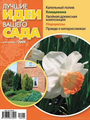 Дизайн вашего сада - купить с доставкой по выгодным ценам в  интернет-магазине OZON (1154154605)