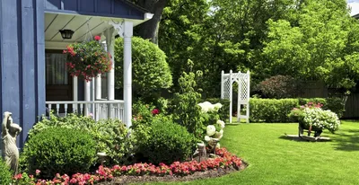 Дизайн вашего сада - купить с доставкой по выгодным ценам в  интернет-магазине OZON (996992874)