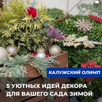 11 уютных идей декора для вашего сада зимой | ivd.ru