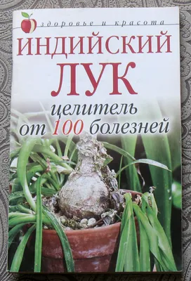 ИНДИЙСКИЙ ЛУК. Кратенько об уходе и размножении. ИСПОЛЬЗОВАНИЕ в ЛЕЧЕБНЫХ  ЦЕЛЯХ. - YouTube