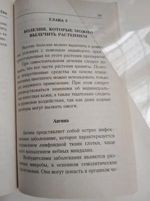 Индийский лук - выращивание в домашних условиях, как выращивать Тибетский