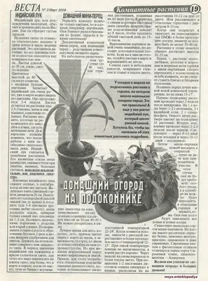 Луковица индийского лука купить на Зозу.ру