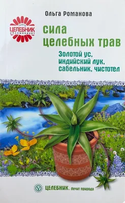 Индийский лук целитель от 100 болезней. Купить в Витебске — Книги Ay.by.  Лот 5033174753