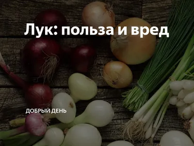 Индийский лук (птицемлечник хвостатый): уход и применение