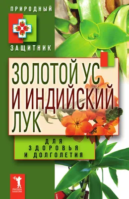 Индийский лук, лечебный (от 100 болезней): 19 грн. - Комнатные растения  Черкассы на Olx