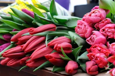 Счастливого 8 Марта! купить онлайн в Алматы, Казахстан. Цены в  интернет-магазине www.msky.kz - Master Sky