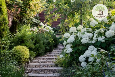 Как выбрать правильный дизайн для вашего сада | Долина Парк. Ландшафтный  дизайн и укладка газона | Дзен