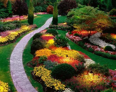 Уютный уголок в саду . . . Листайте карусель | Уголок в саду, Дизайн сада,  Планы садового дизайна
