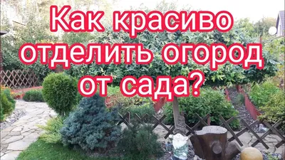 Интересные и необычные идеи для дачи своими руками, которые точно всех  удивят | myDecor