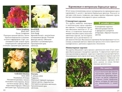 Тайная магия ирисов: Идеи и вдохновение в журнале Ярмарки Мастеров