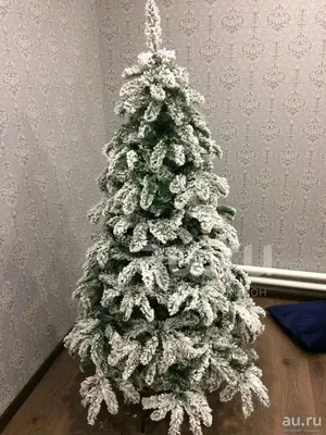 Новогодняя Ёлка! Новогодняя искусственная ель заснеженная, 180 см! ВСЯ В  СНЕГУ! Фото реальные!!! Пышная ! + Доставка!!! — купить в Красноярске.  Состояние: Новое. Ёлки новогодние на интернет-аукционе Au.ru