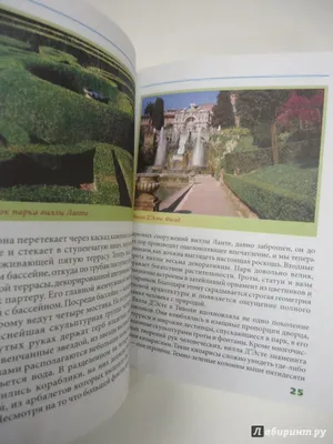 Проект недели: «Итальянский» сад с расписной лоджией при гараже | Houzz  Россия