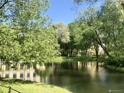 Юсуповский сад в центре Санкт-Петербурга | Лаперуз