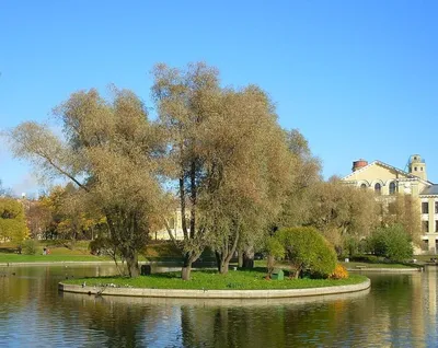 Экскурсия в Юсуповский сад, Санкт-Петербург