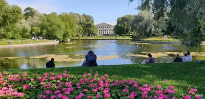 В Санкт-Петербурге закрыли парки и скверы из-за сильного ветра — РБК
