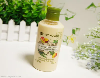 Новогодняя лимитированная коллекция \"Сочные ягоды\" от Yves Rocher | Отзывы  покупателей | Косметиста