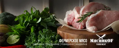 Ива шаровидный карлик (65 фото) » НА ДАЧЕ ФОТО