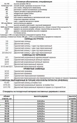 Проект №21