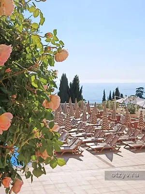 Отель ИваМария , Алушта, Крым