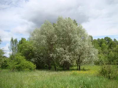 Красивый Вид Природу стоковое фото ©PantherMediaSeller 334887602