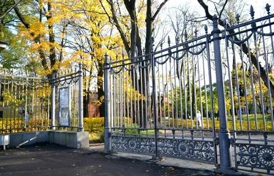 Измайловский сад фото фотографии