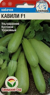 Важные тонкости выращивания и ухода за простым кабачком у себя на даче. |  Огородник по жизни | Дзен