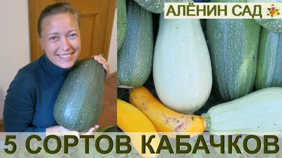 Пюре овощное Сады Придонья кабачок с 4 мес 125г т/п ... - купить с  доставкой в интернет-магазине О'КЕЙ в Сочи